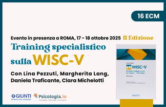 Training WISC-V
