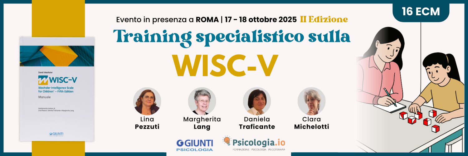 Training WISC-V