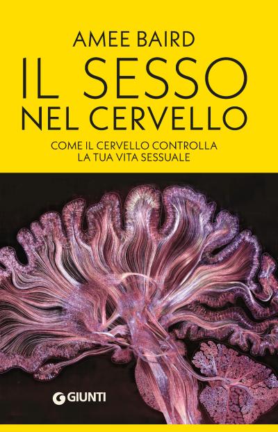Il sesso nel cervello