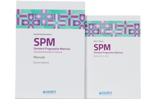  SPM