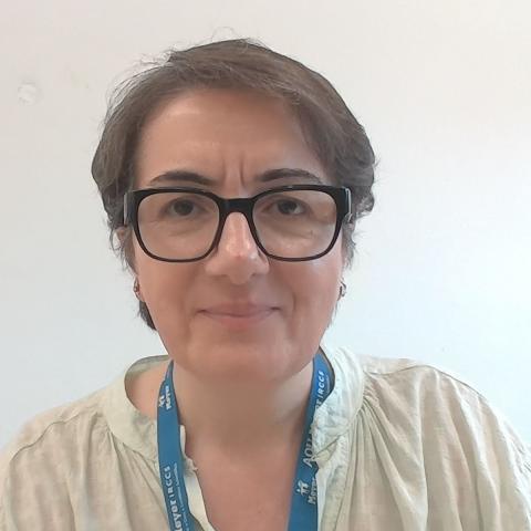 Tiziana  Metitieri 