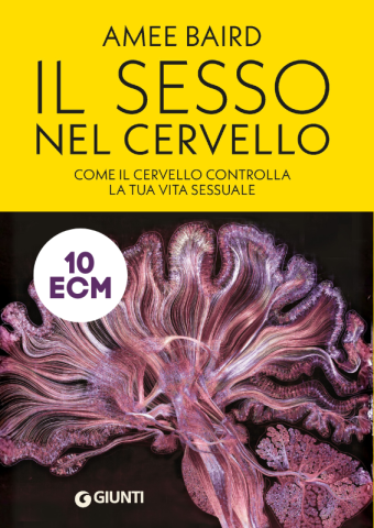 Il sesso nel cervello
