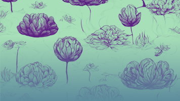 Mindfulness in Psicoterapia: Benefici e Applicazioni Cliniche